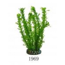 Растение аквариумное Aquatic Plants 19см