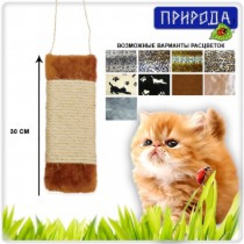 Royal Canin FHN Indoor +7 1. 5kg :: Сухой кошачий корм