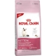 Корм сухой для котят Royal Canin Kitten (400гр)