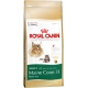 Корм сухой для кошек породы мейн кун Royal Canin Maine Coon 31 (10кг)