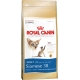 Корм сухой для кошек породы сиамская Royal Canin Siamese 38 (400гр)
