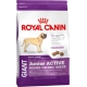 Корм сухой для щенков очень крупных пород Royal Canin Giant Junior Active  с 8 до 18/24 месяцев с высокими энергетическими потребностями 15кг