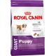 Корм сухой для щенков очень крупных пород Royal Canin Giant Puppy 4кг