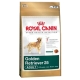 Корм сухой для собак породы золотистый ретривер Royal Canin Golden Retriever 25 Adult 3кг